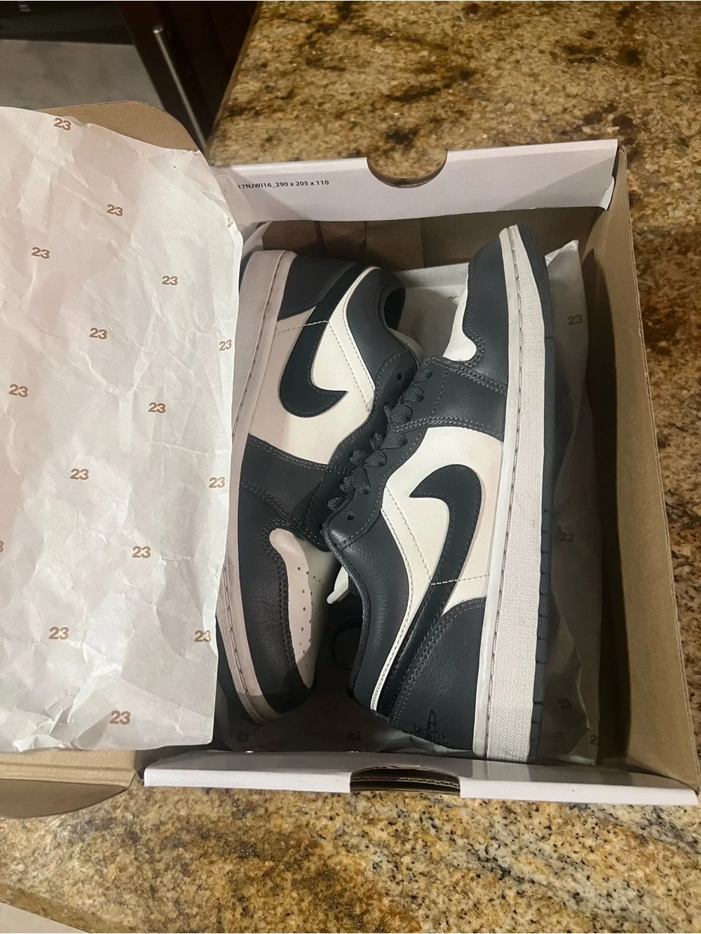 Jordan Low Top Sneakers in White and Black